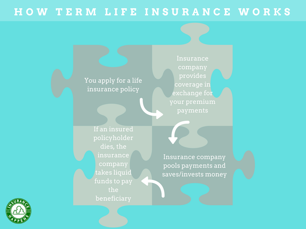 how term life insurance works infographic