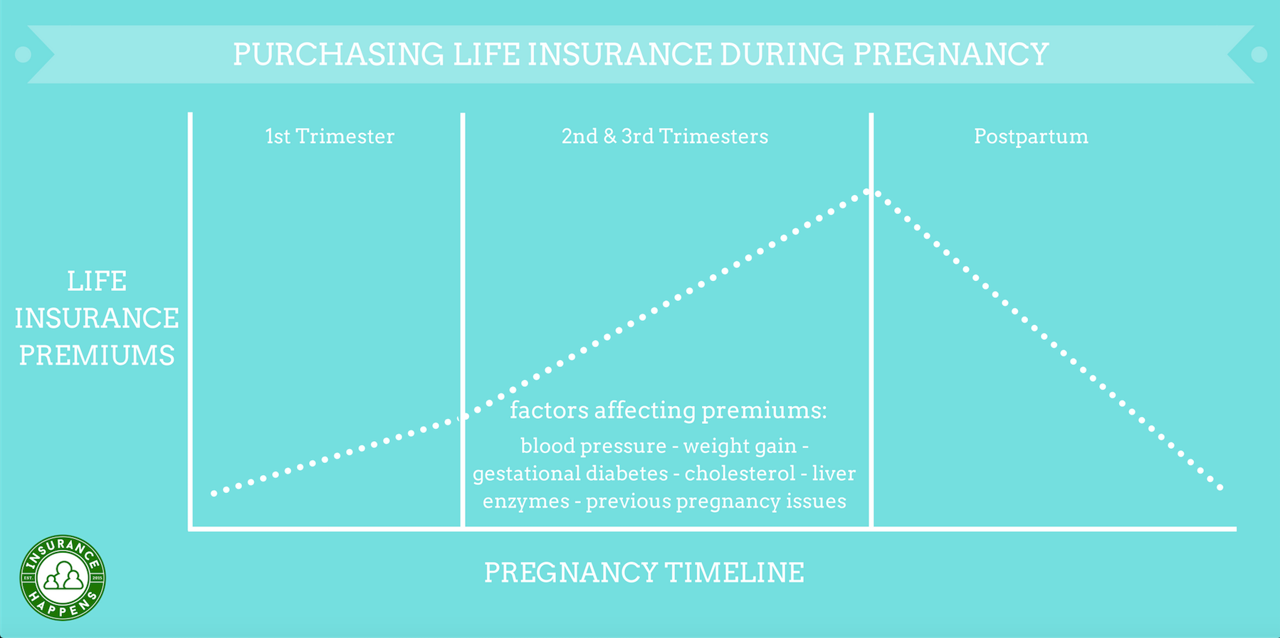 life insurance during pregnancy info graphic