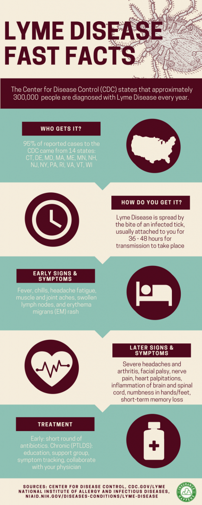 facts about lyme disease, laid out in a chart